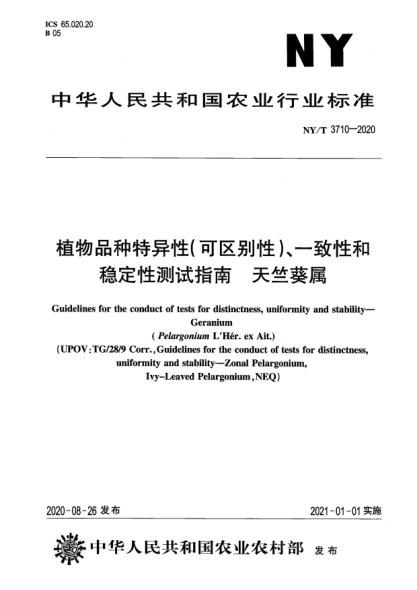 ny/t 3710-2020植物品种特异性（可区别性）、一致性和稳定性测试指南 天竺葵属