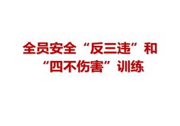 全员安全“反三违”和“四不伤害”训练ppt