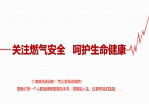 2022关注燃气安全 呵护生命健康(1)pptx