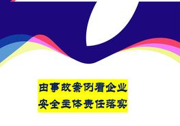 事故案例和企业安全主体责任落实pptx