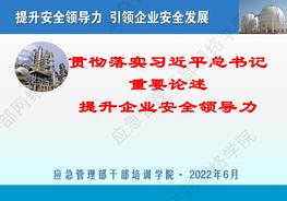 【王浩水】贯彻落实习近平总书记重要论述 提升企业安全领导力pdf